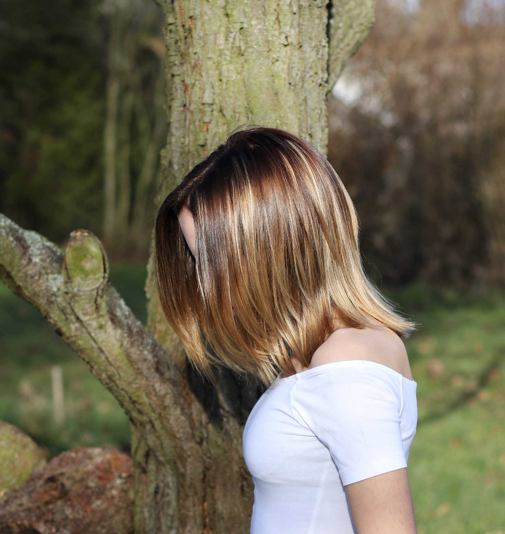 Balayage bob s medovými melíry